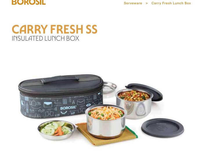 Carry Fresh SS Insulated Lunch Box (Set of 2)